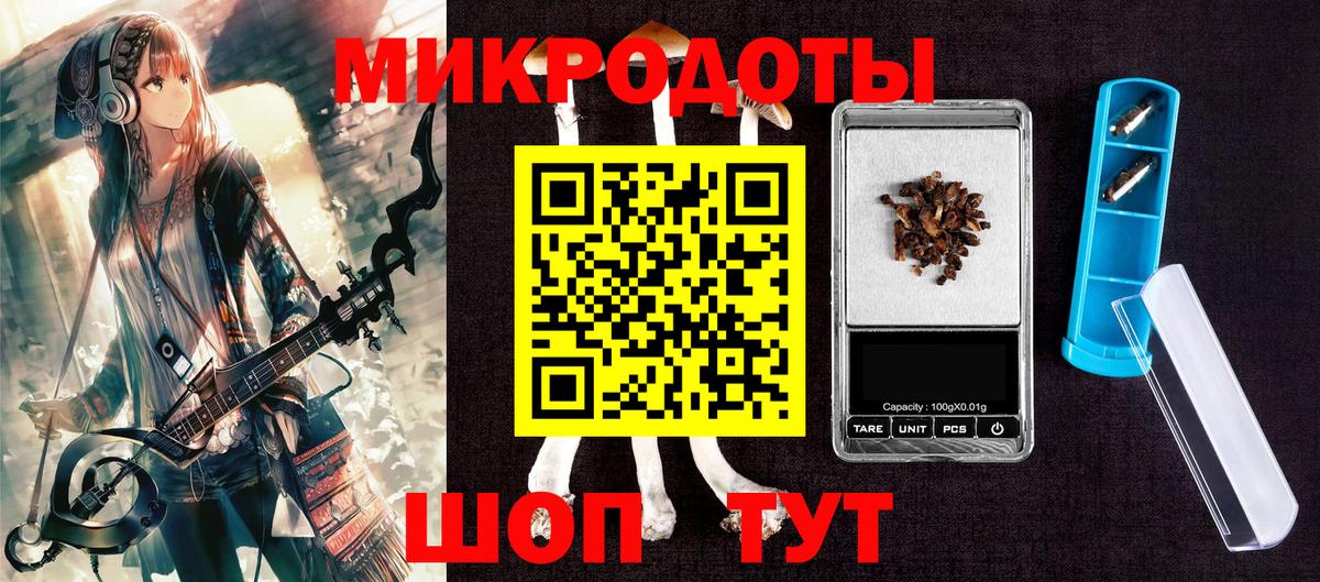 Гатчина  Псилоцибиновые грибы прущие грибы  Вход с VPN 